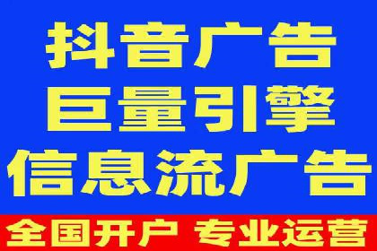 某行业领军企业的SEM广告投放策略